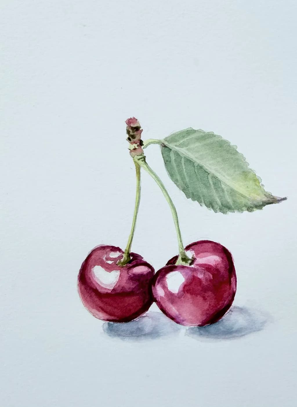 Twin Cherries