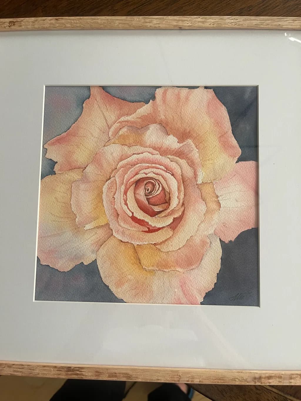 Blush Rose
