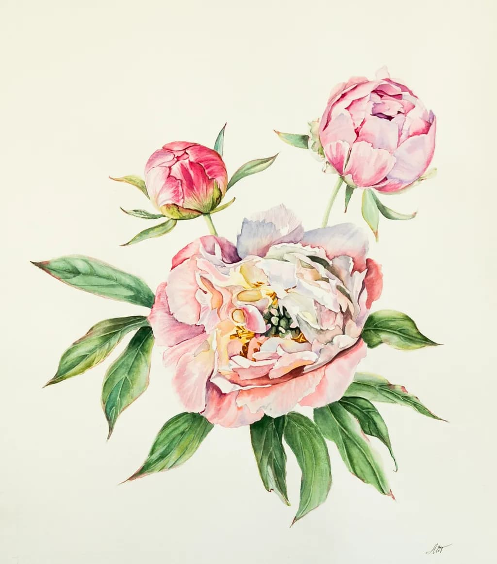 Peony Trio