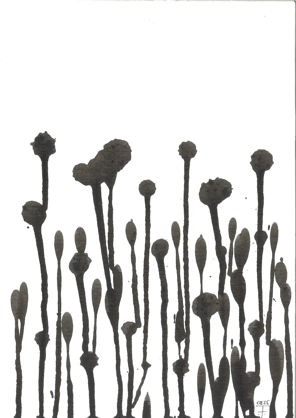 Abstract Stems
