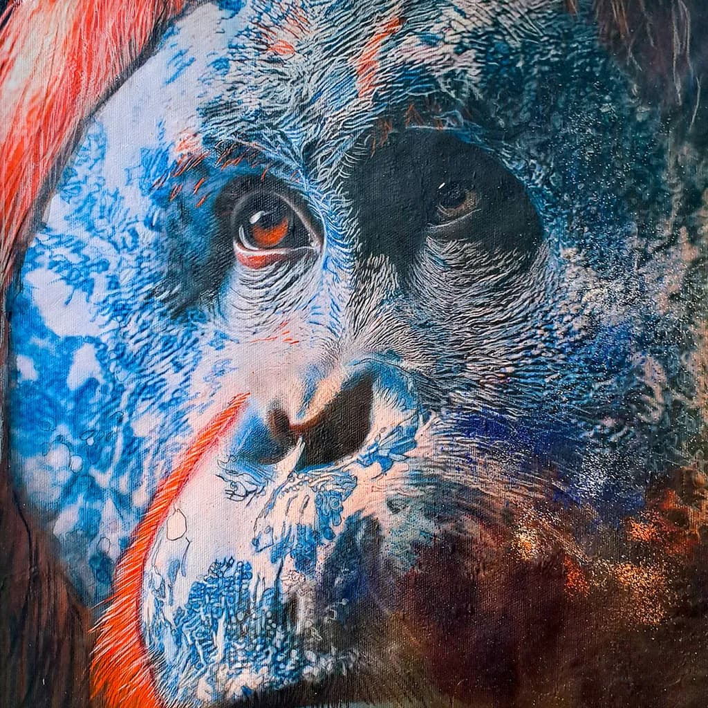 Blue-Gaze Gorilla
