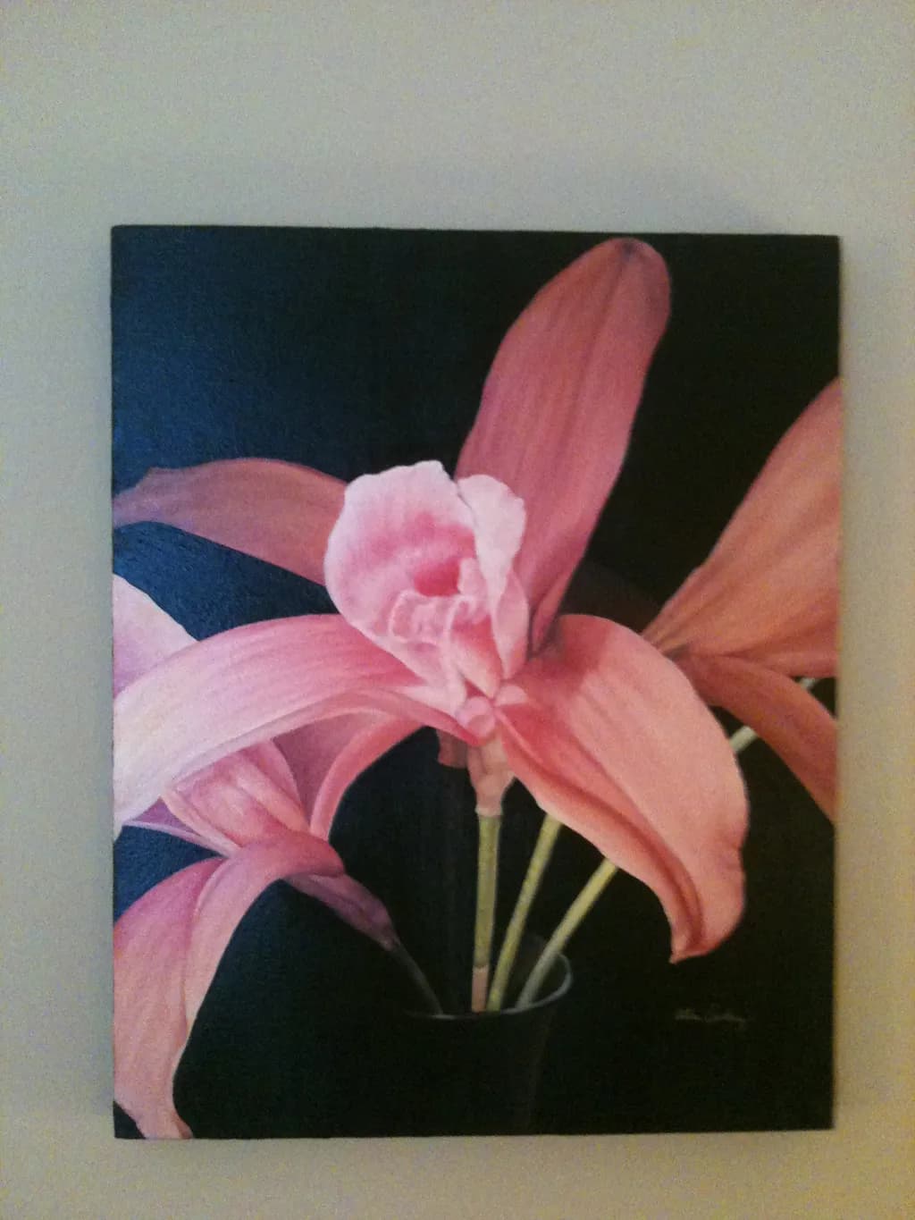 Blush Orchid
