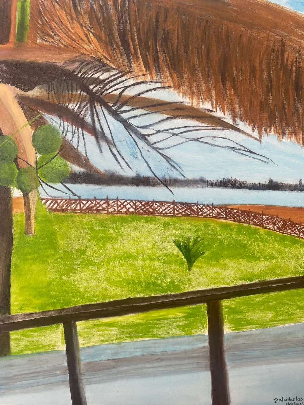 Tropical Viewpoint