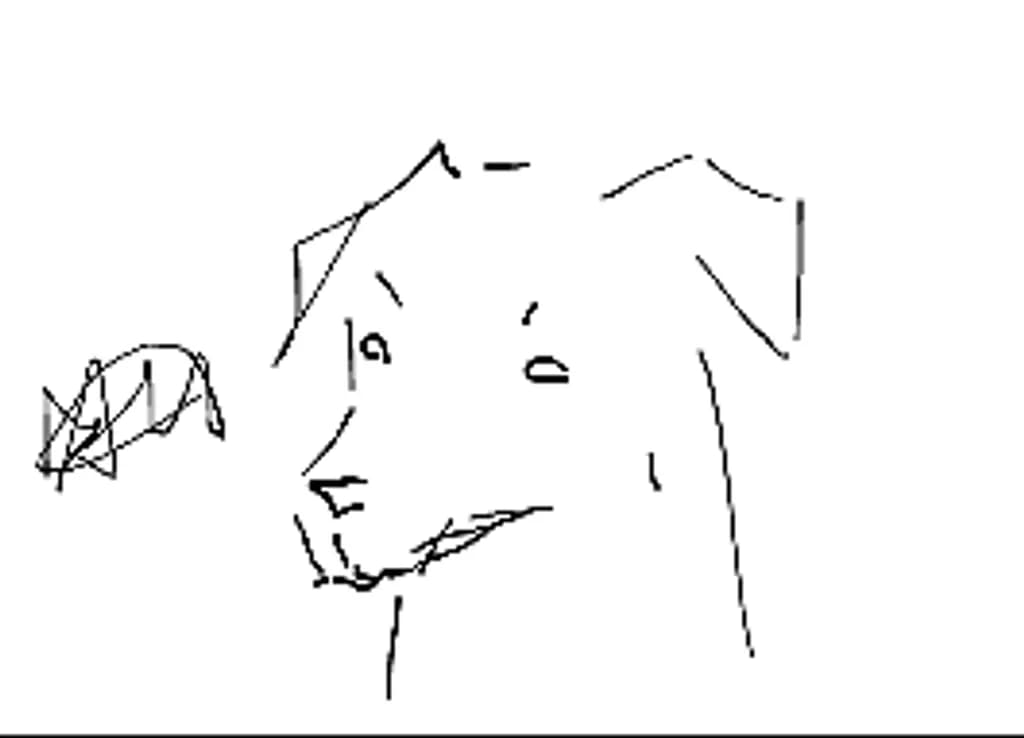 Beitragsbild 1
