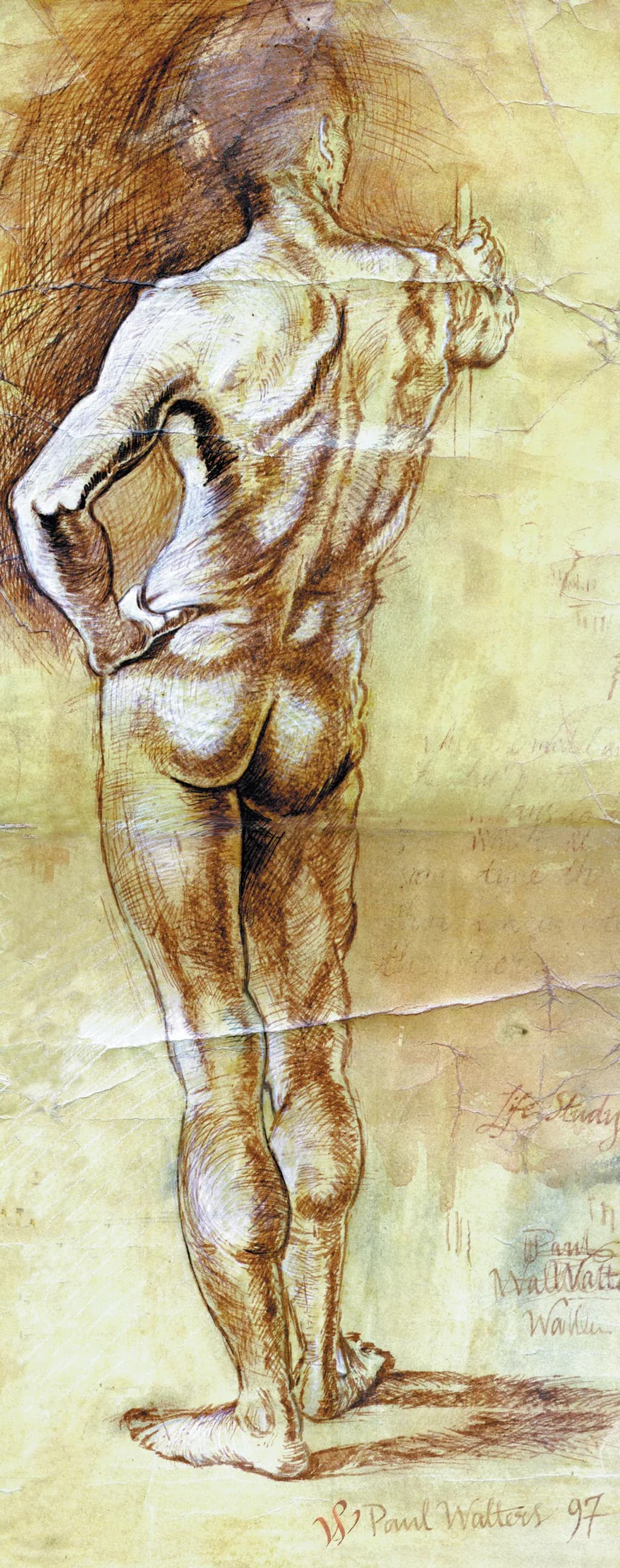 Angelo Figure Study