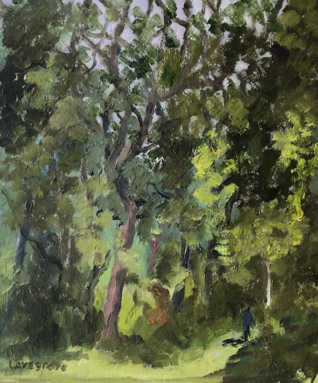 Woodland Reflection