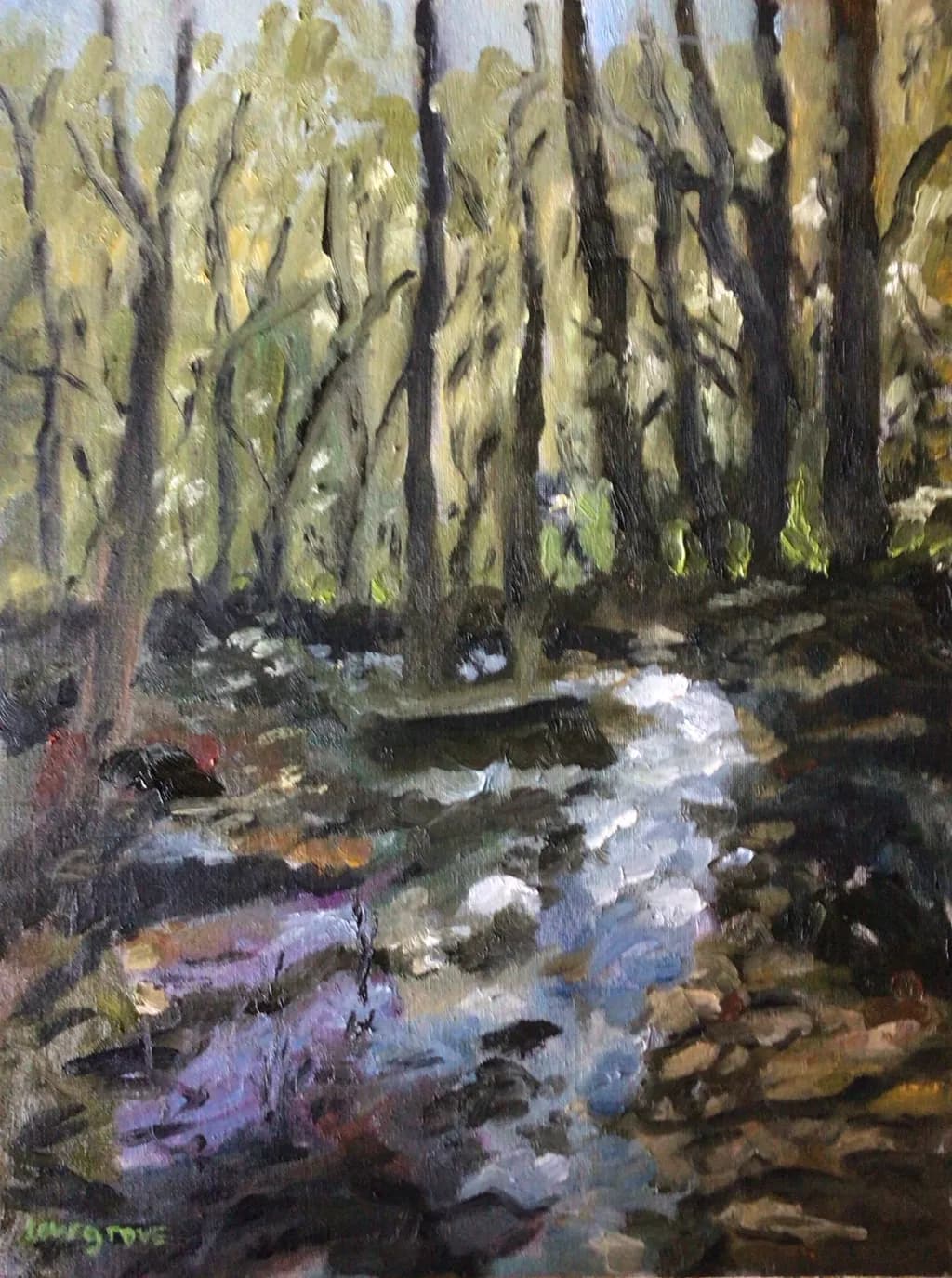 Tranquil Forest Stream