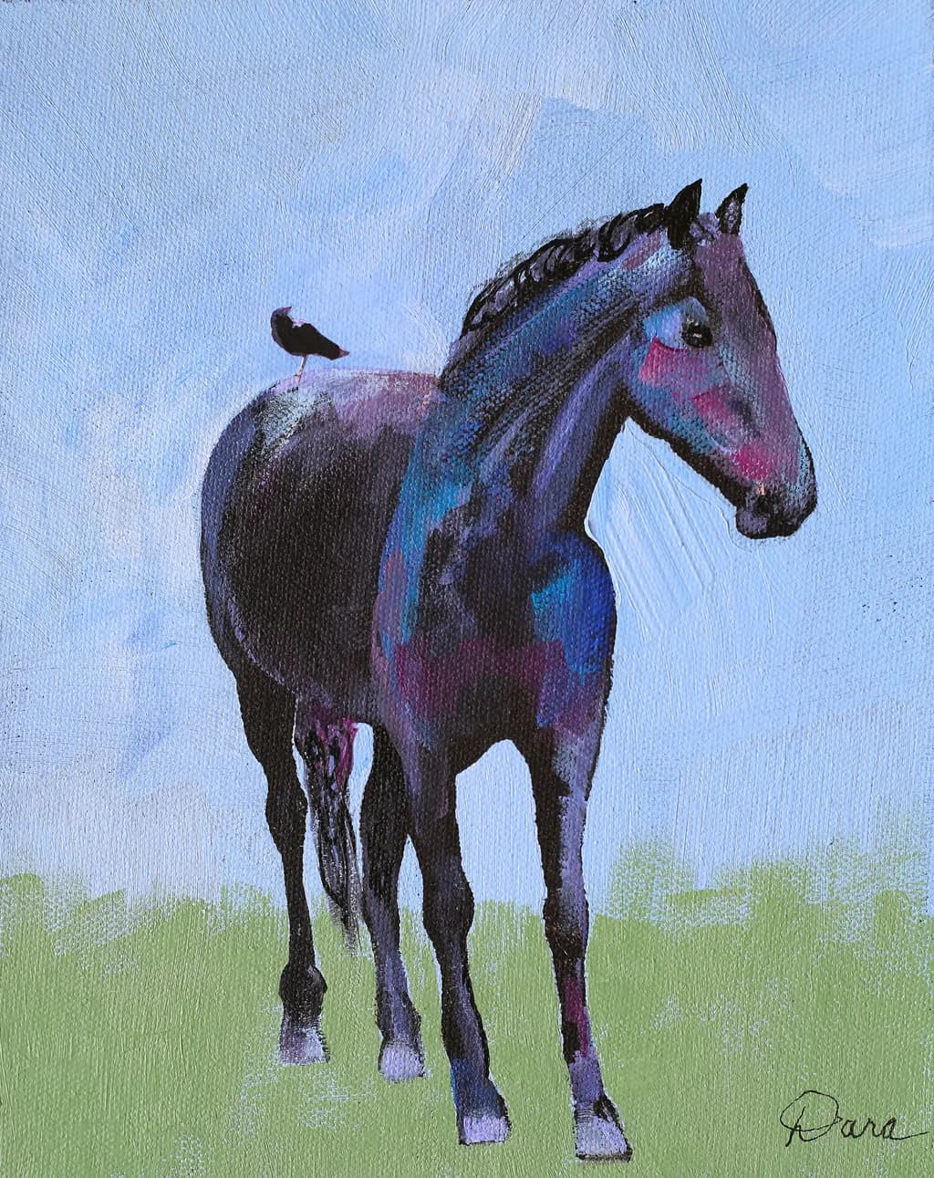 A Black Beauty
