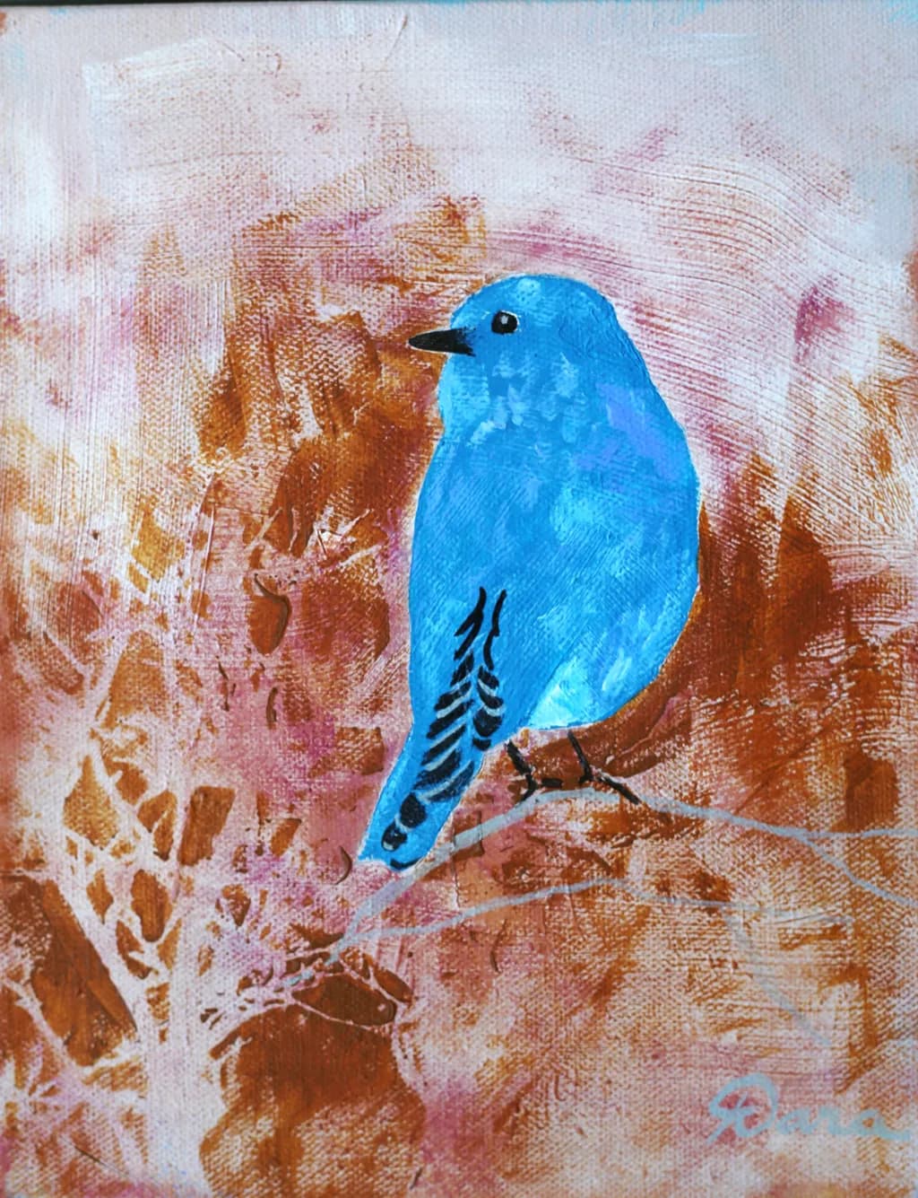 Mountain Bluebird