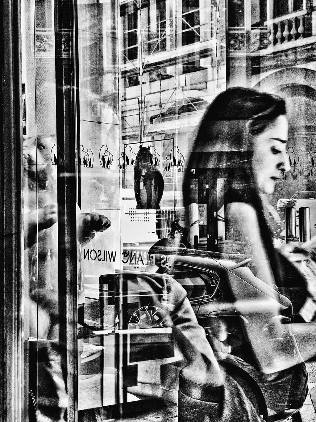 Ours Blanc Reflection