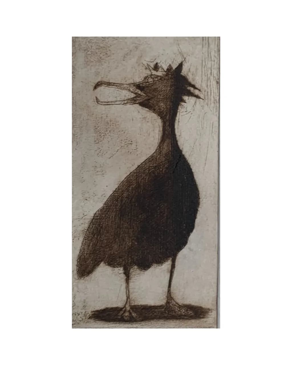 Crowned Cormorant