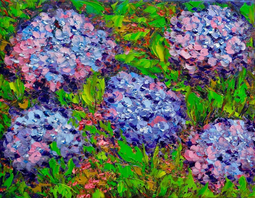Hydrangea Blooms