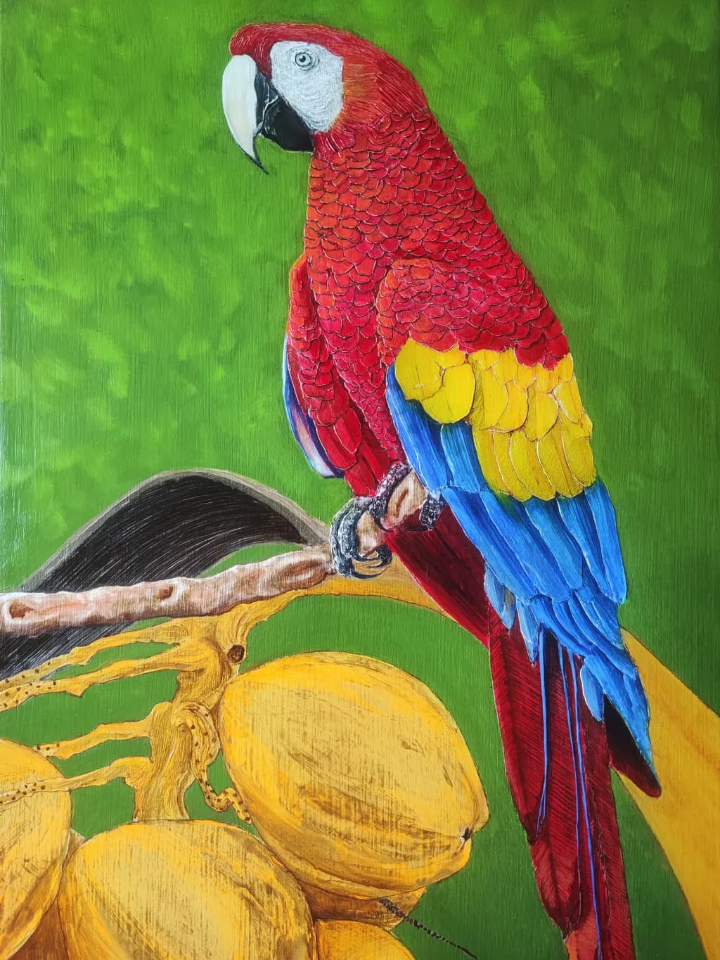 Scarlet Macaw Perch