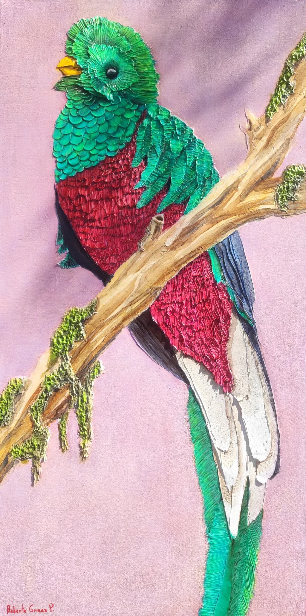 Colorful Bird on Branch