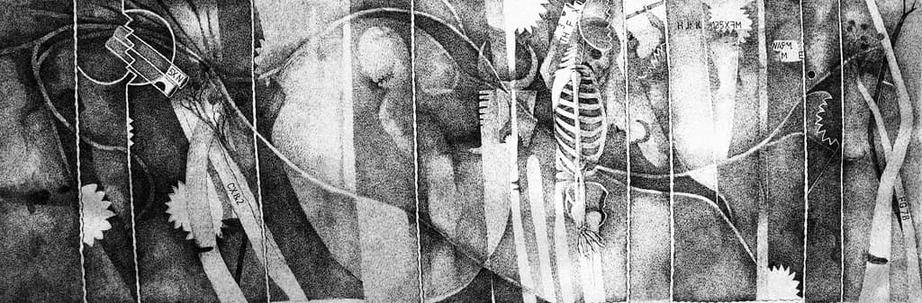 Anatomical Abstraction