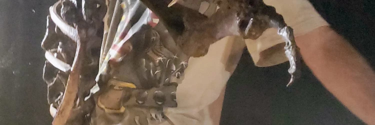 Profilbanner