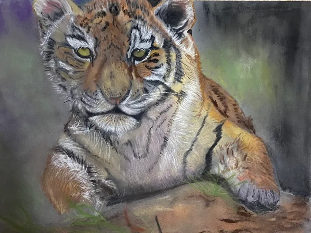 Curious Tiger