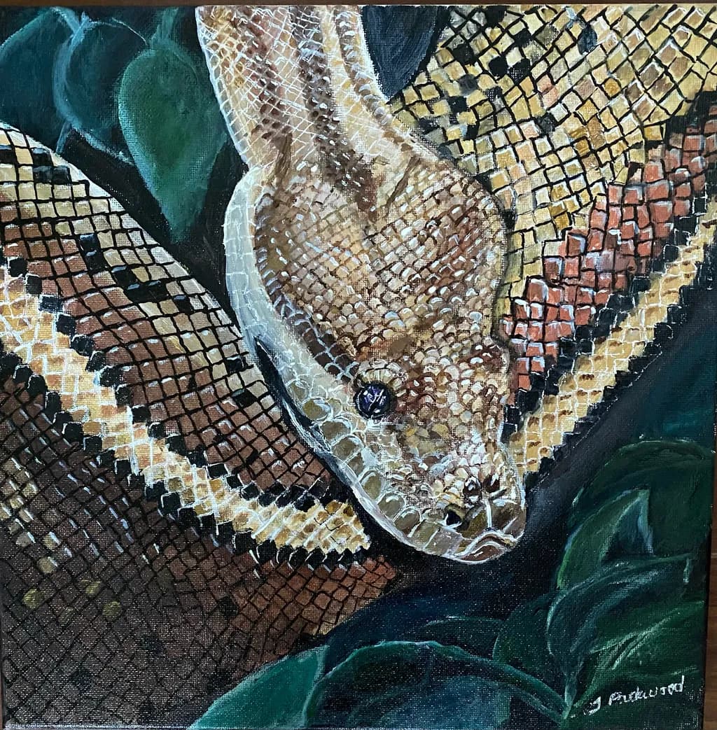 Serpent's Gaze