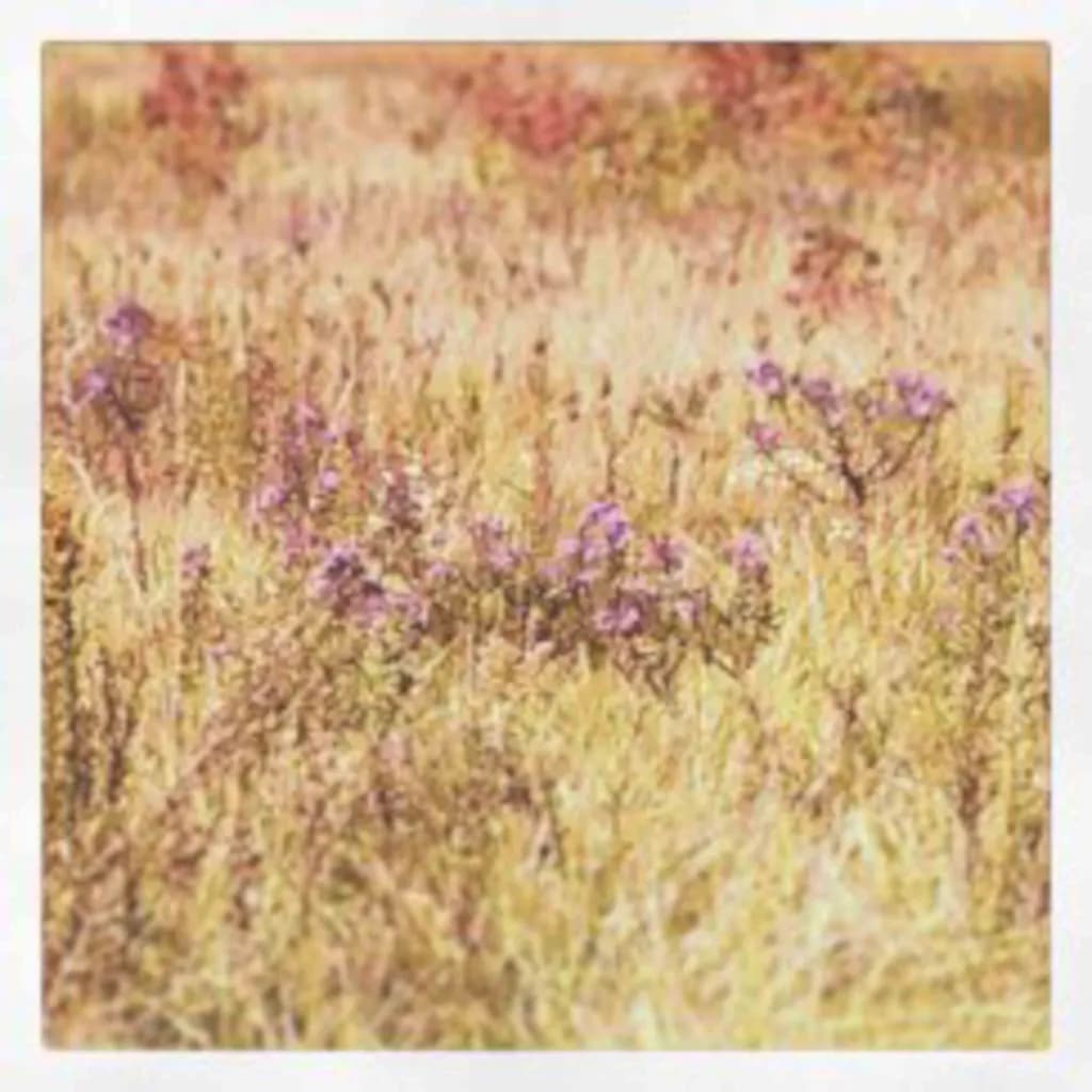 Autumn Wildflowers