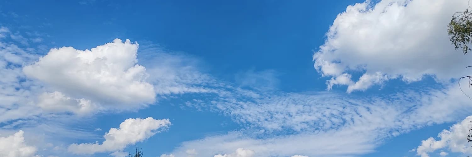 Profilbanner