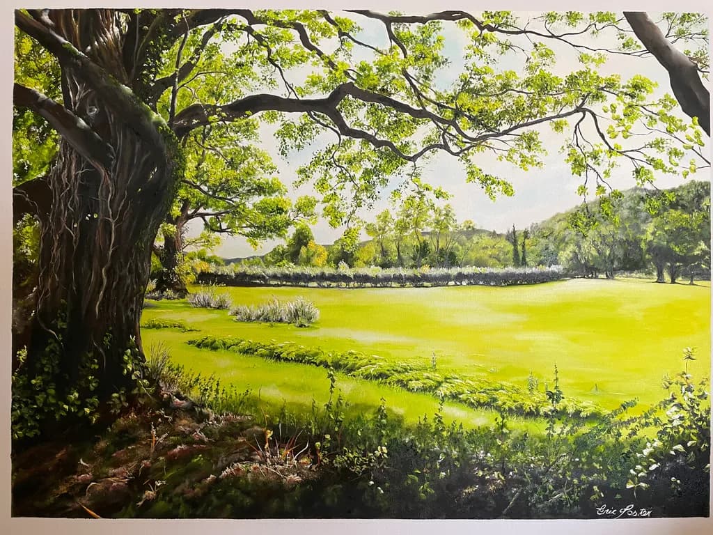 Sunlit Meadow Edge