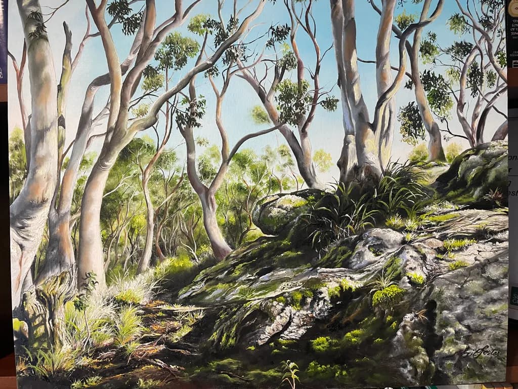 Rocky Forest Glade