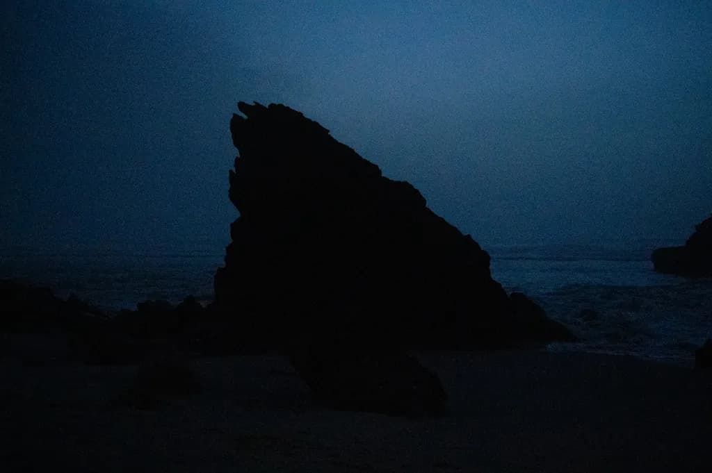 Coastal Solitude