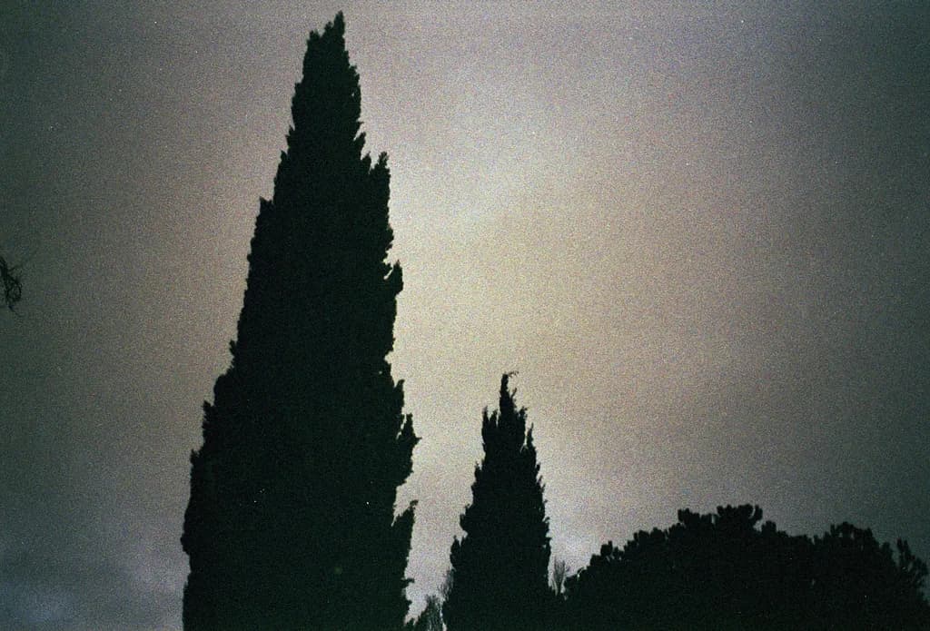 Xanolab Silhouettes