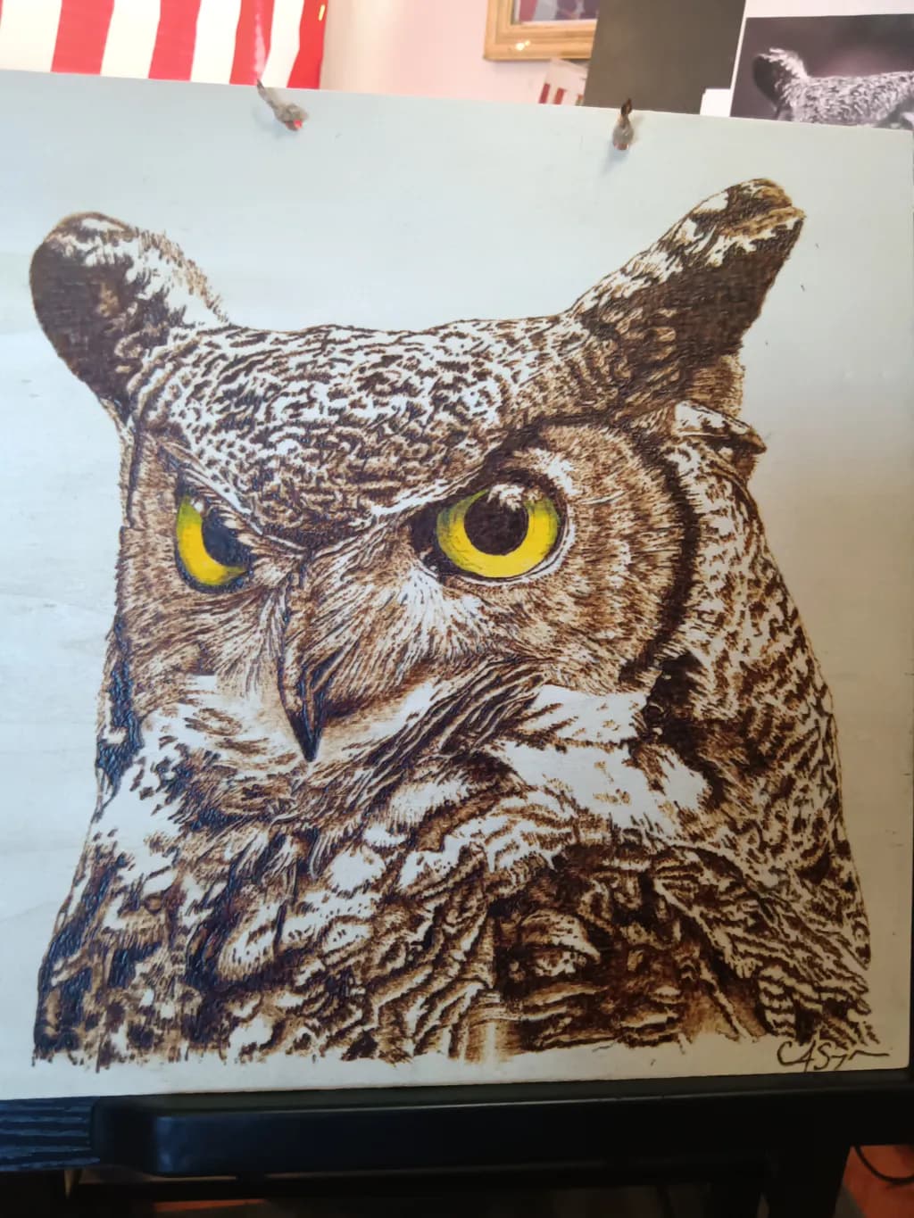 Gaze of the Owl