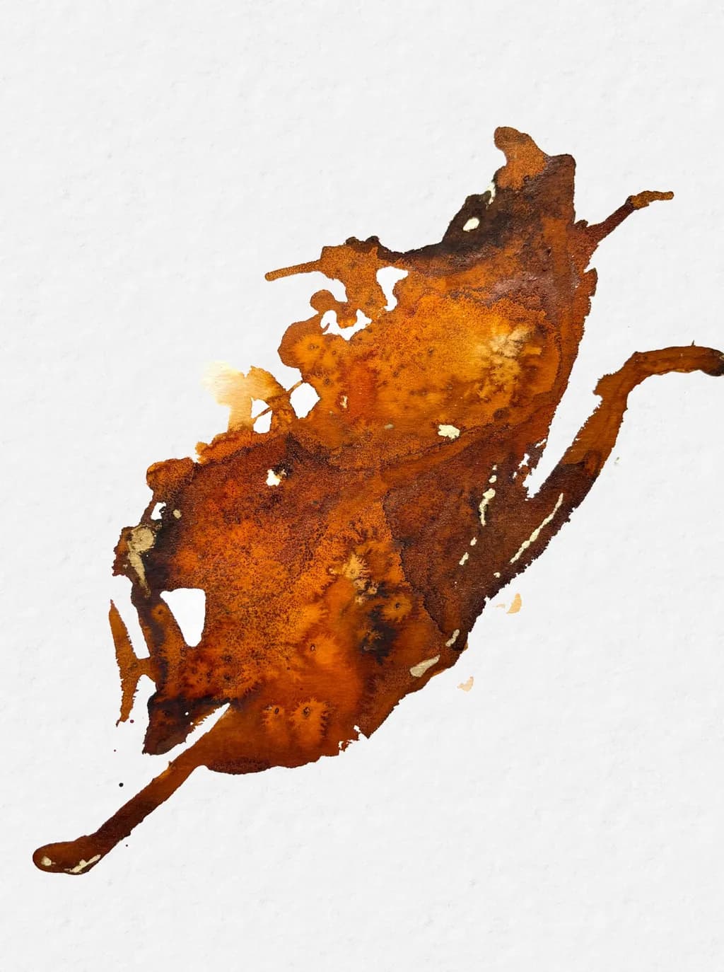 Plume de Feu