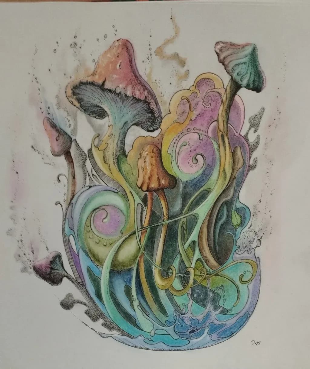 Magic Mushrooms