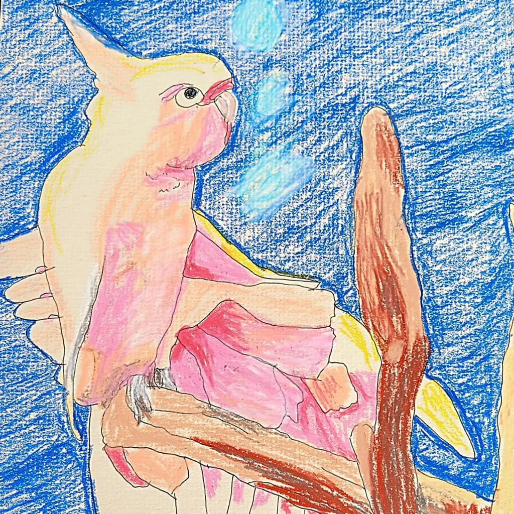 Cockatoo Serenity