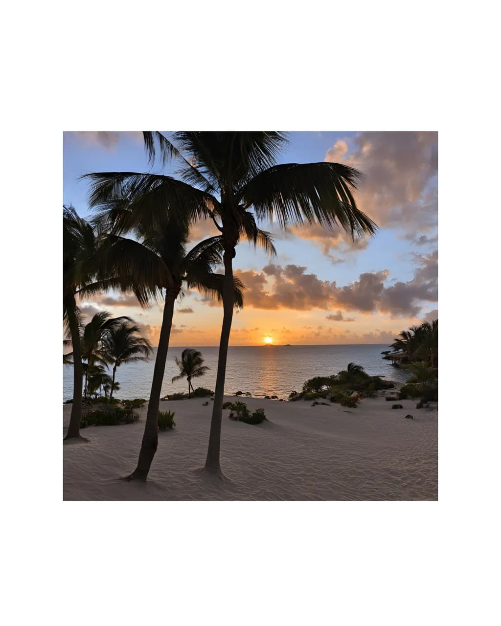 Sunset Palms