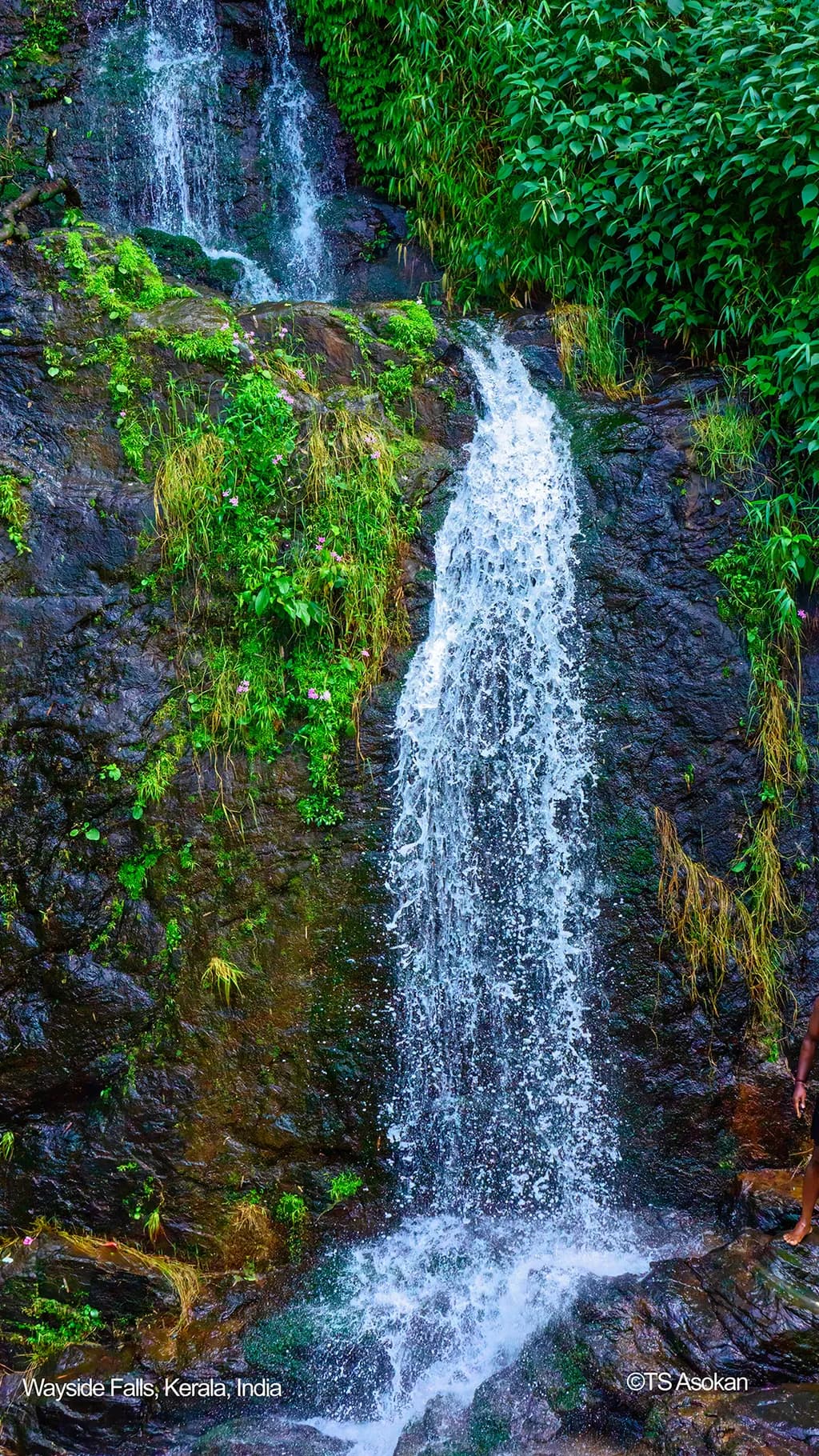 Wayside Waterfall