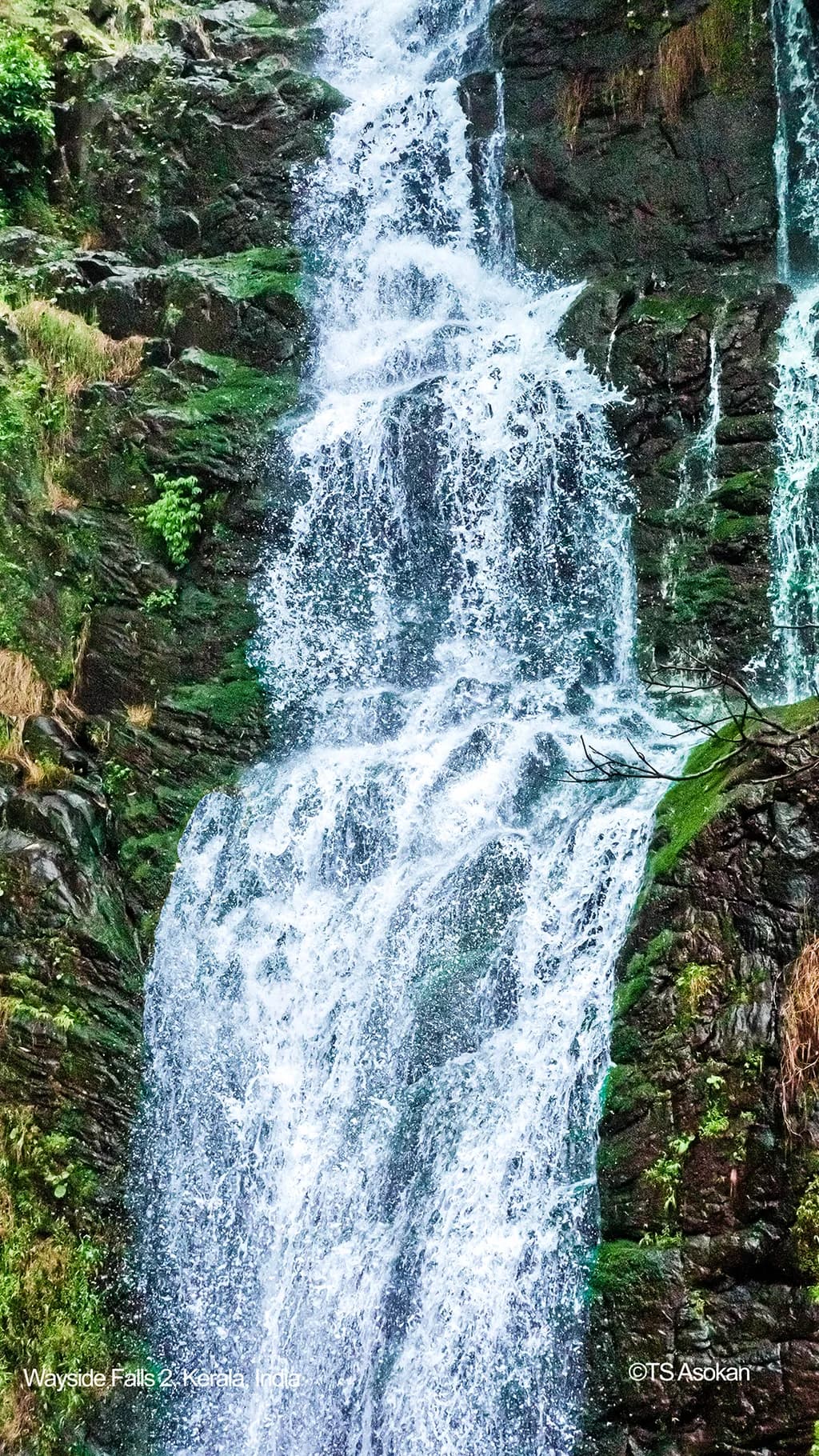 Wayside Falls