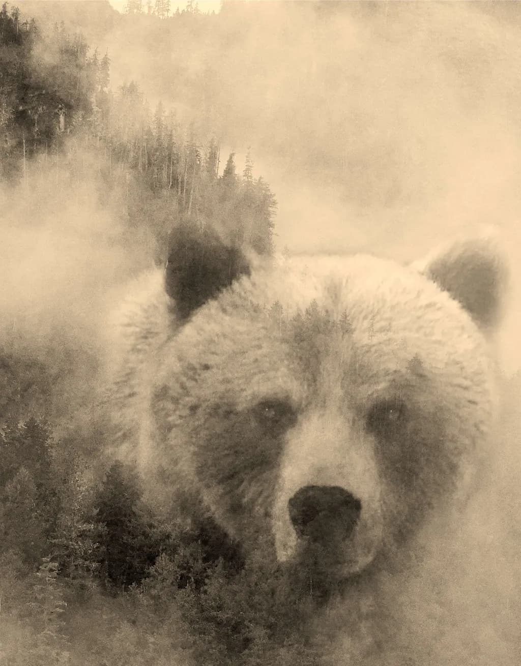 Whispers of the Mountain Spirit