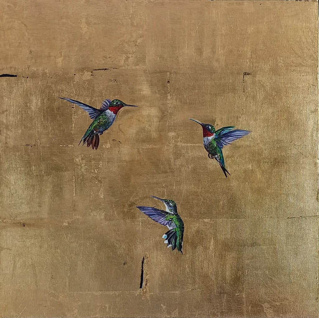 Hummingbird Dance