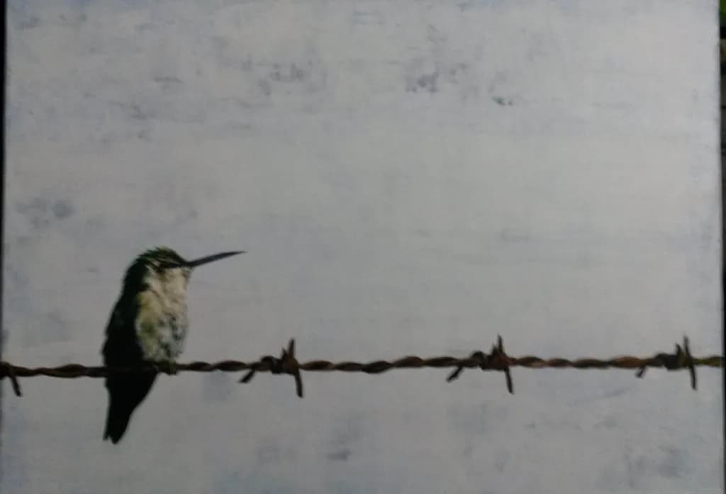 Perched on Rusted Wire