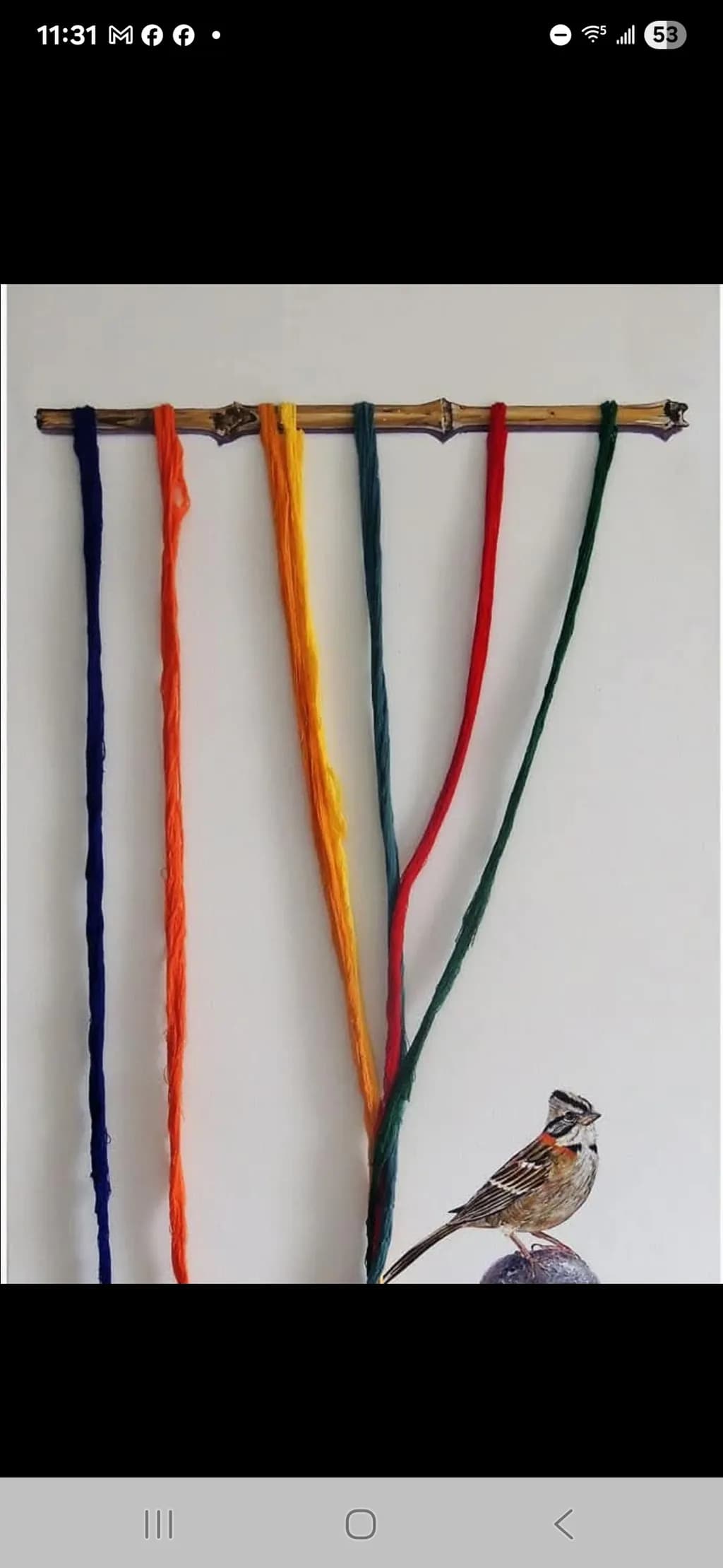 Colorful Threads and Sparrow