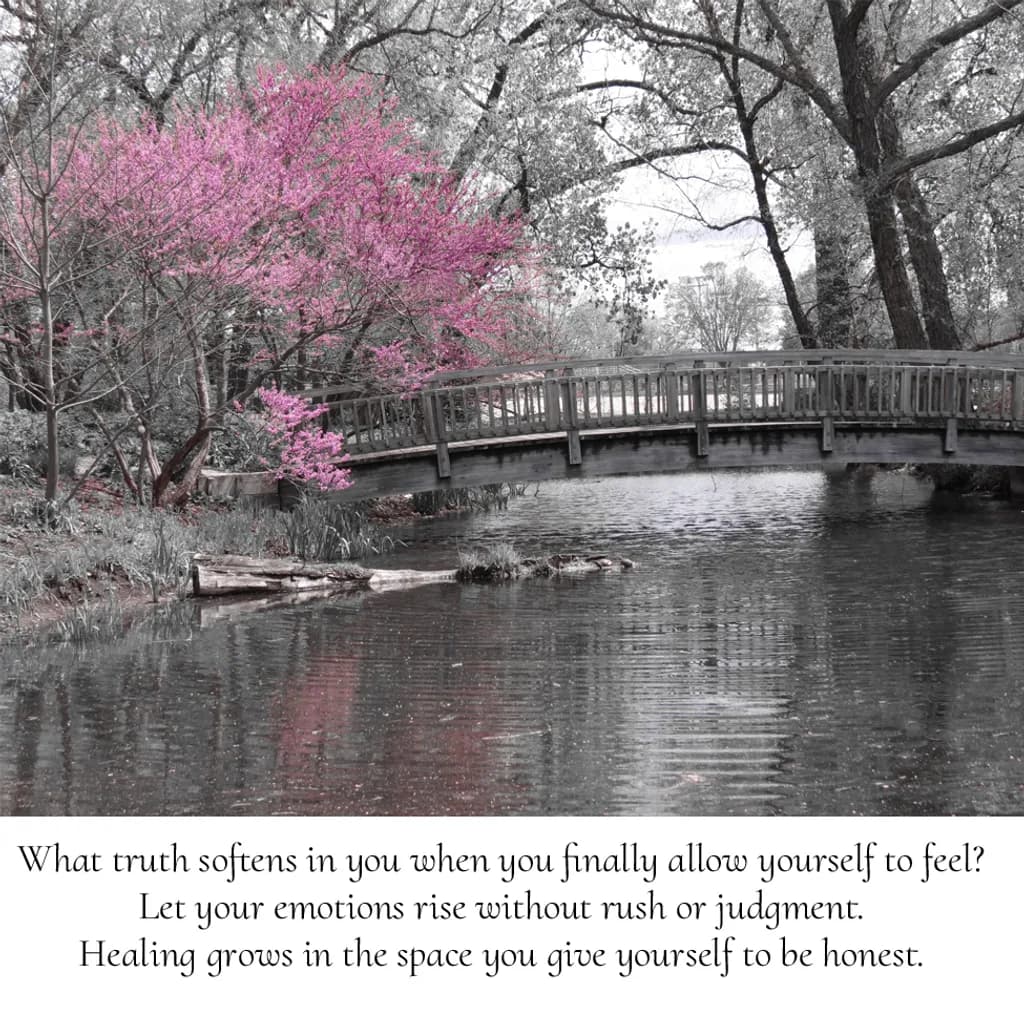 Bridge Reflection