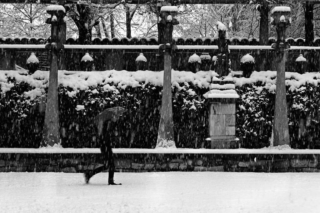 Snowfall Walk