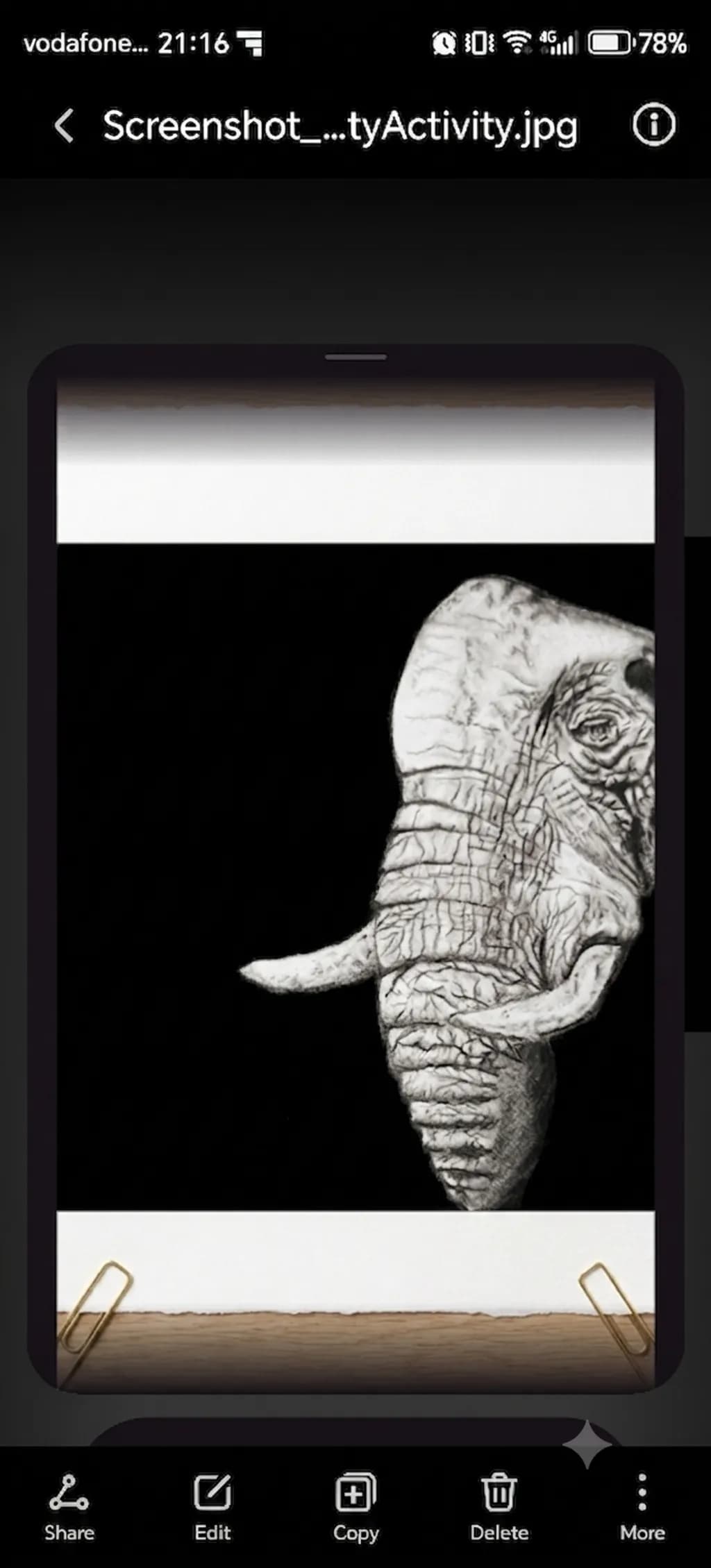 Elephant Profile