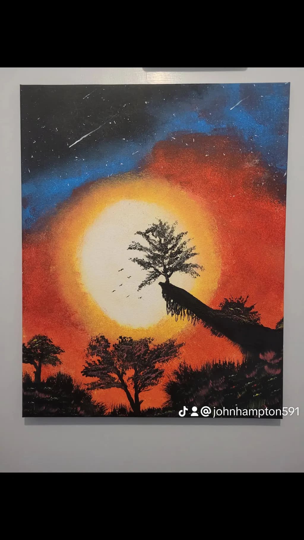 Sunset Silhouettes
