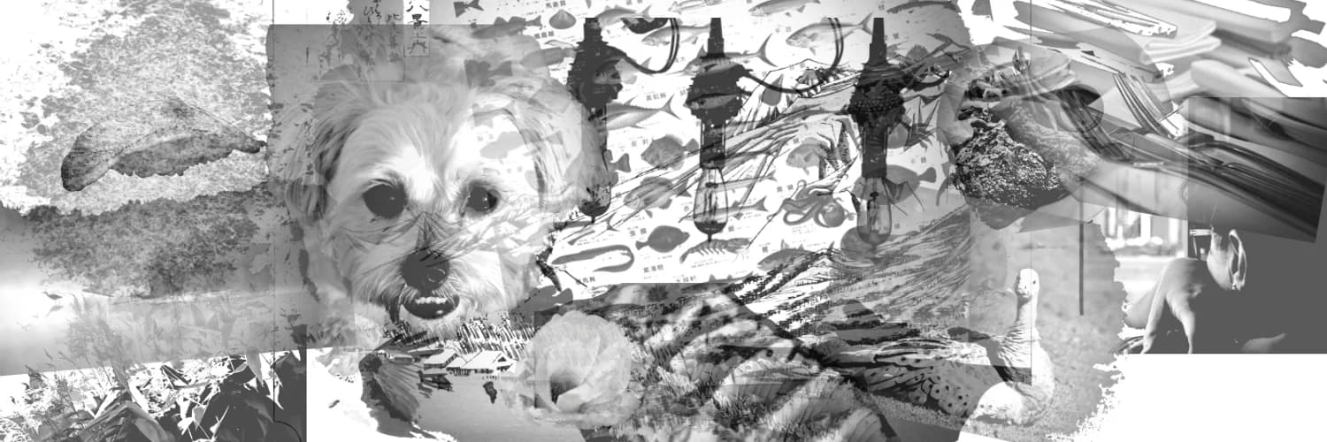 Banner del perfil