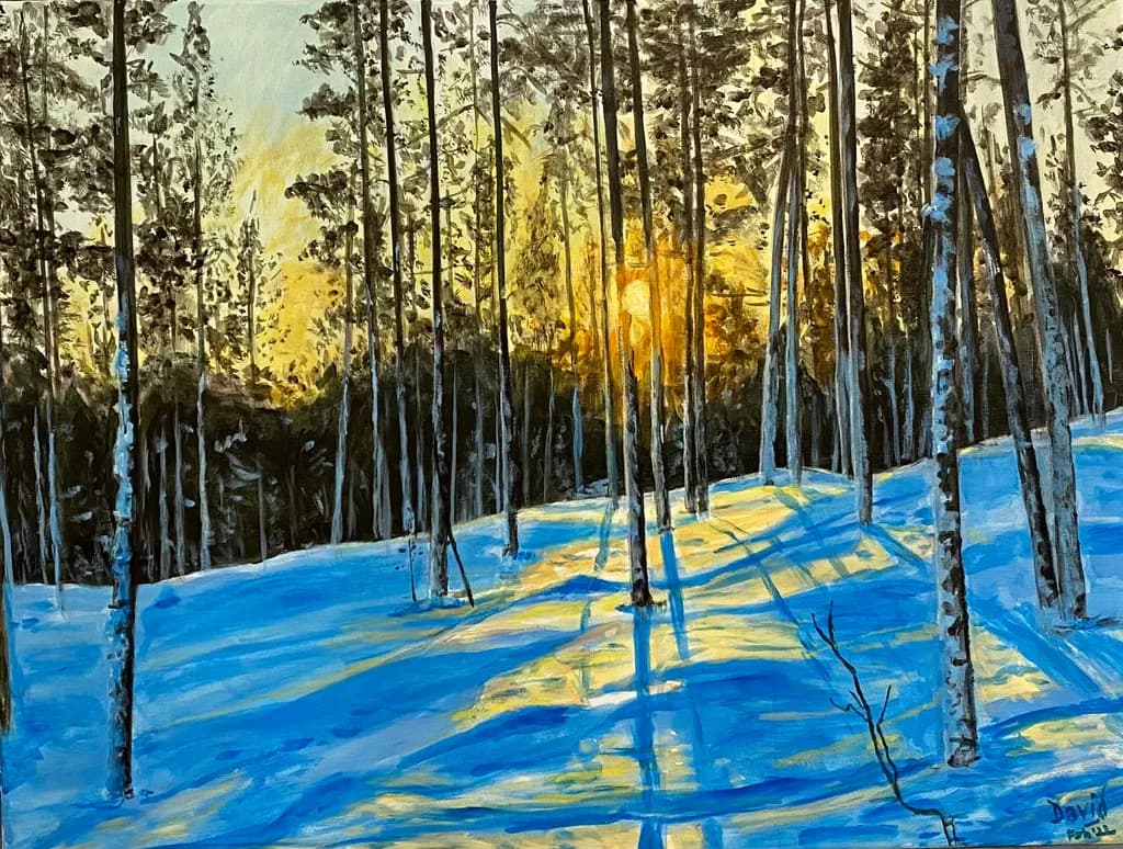 Winter Forest Sunset
