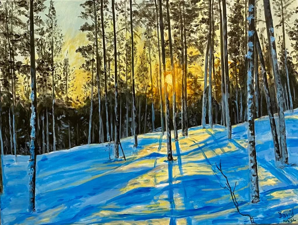 Winter Sunlight