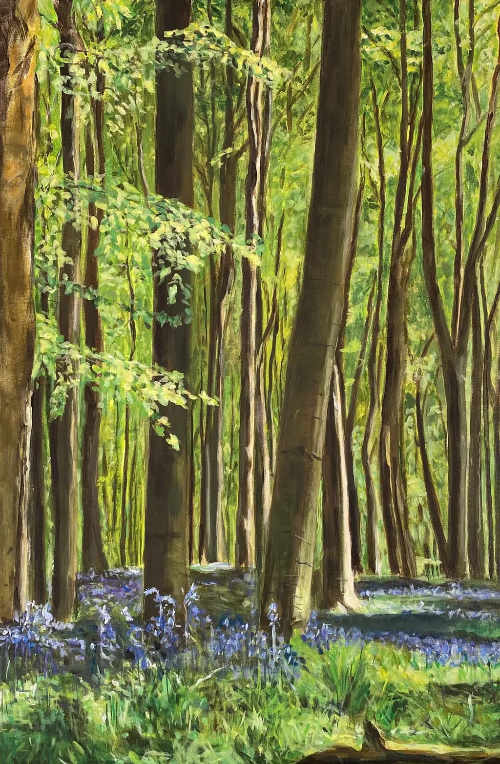Bluebell Grove