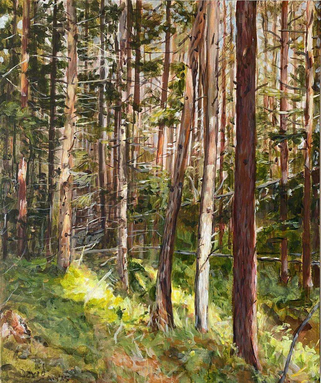 Sunlit Pines