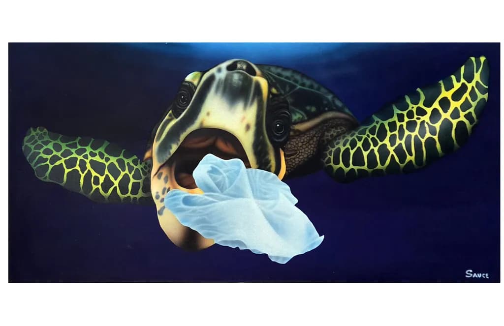 Turtle and a Bag