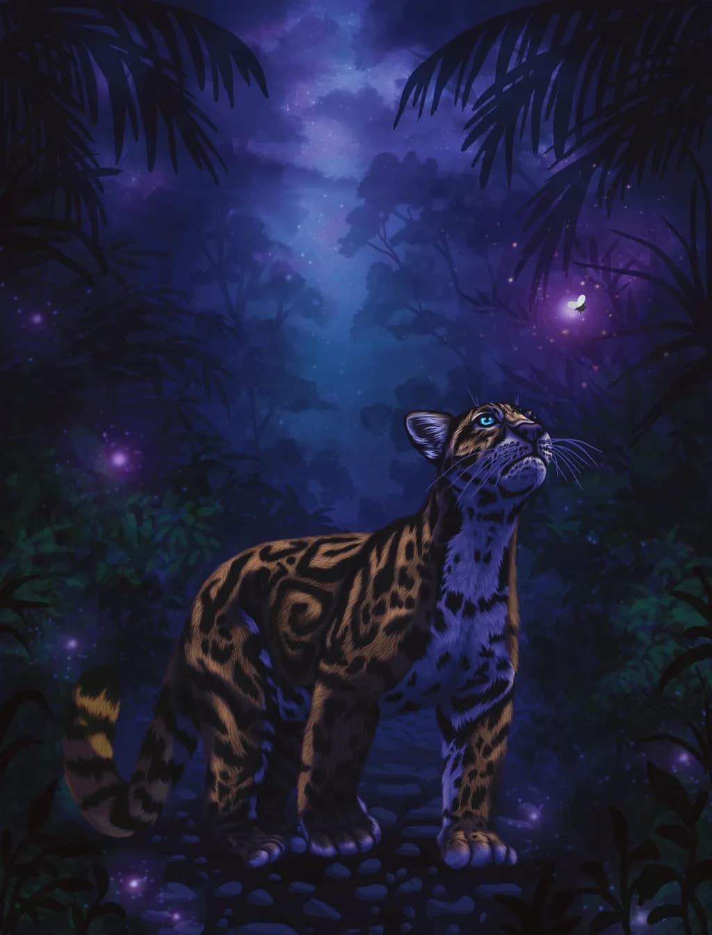 Midnight Gaze